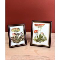 Miniatur Bild Set, 2Tlg, Druck, Pilze, Herbst, Herbstliches Deko, Gerahmter Natur Miniatur Bild Set, 2Tlg, Druck, Pilze, Herbst, Herbstliches Deko, Gerahmter Natur von VintageFraeulein