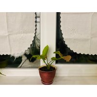 Vintage Bestickte Küchenvorhänge Aus Baumwolle, Shebly Style, 2Er Set von VintageFromNick