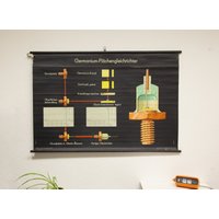 Germanium Rectifier School Pull Down Chart Map Education Diode Physics Illustration Home Wall Deco Interior Vtg Germany - Schultafel Gdr Ddr von VintageGermanClocks