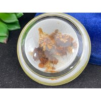 Vintage Glas Briefbeschwerer - Lupe Getrocknete Blumen von VintageInBloom