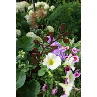 Blätterzweig Safiore "E" - Edelrost Gartenstecker von VintageOneDeko