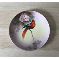 Antiker Noritake A Haruna Signierter Ara Papagei Handbemalter Teller von VintagePrairieGems