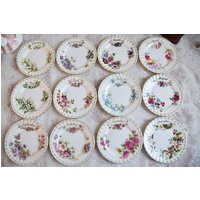 Teller 16 cm Aus Der Flower Of The Month Kollektion Von Royal Albert von VintageTeaTimeByNiw
