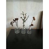 3Erset Glasvasen/Medizinflaschen Glasflaschen+ Naturzweige von VintageandWoodShop