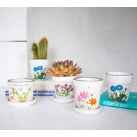 Vintage 2 Kleine Retro Pflanzgefäße Mit Blumenmotiv, 2Er Set Mini Blumentöpfe, Steingut Sukkulent Pflanzgefäß, Daisy Blumentopf Vintage 2 Kleine Retro Pflanzgefäße Mit Blumenmotiv, 2Er Set Mini Blumentöpfe, Steingut Sukkulent Pflanzgefäß, Daisy Blumentopf von VintagebyTigerlilly