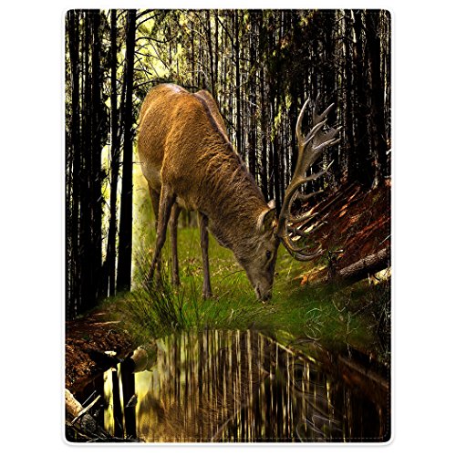 Violetpos Dick Decke Weich Wärme Gemütlich Flanell-Fleece Sofadecke Deckeldecke Tier Hirsch Gras Essen Wald 150 x 200 cm von Violetpos