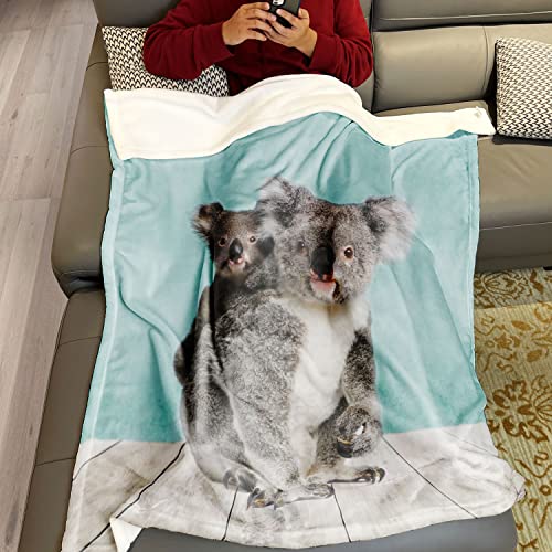 Violetpos 150x200 cm Flanell Decke Weich Fleecedecke Kuscheldecken SanftBettüberwurf Süßer Koala Tier von Violetpos