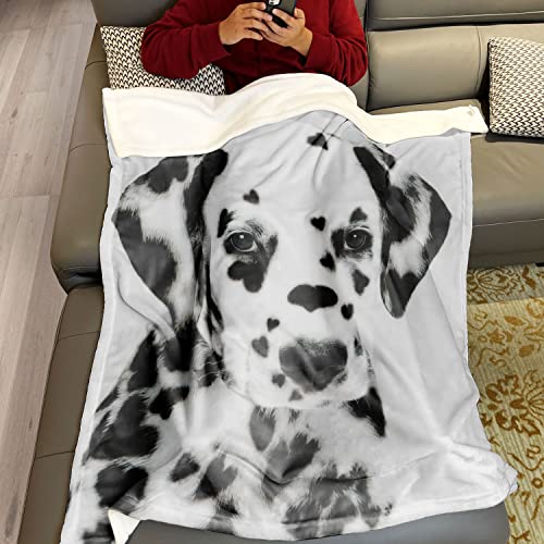 Violetpos 150x200 cm Flanell Weich Fleecedecke Kuscheldecken SanftBettüberwurf Decke Süßer Schwarz Weißer Dalmatiner Hund von Violetpos