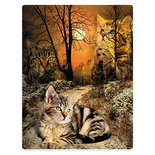 Violetpos Dick Decke Wärme Gemütlich Flanell-Fleece Sofadecke Deckeldecke hochwertige Wohndecke superweich Netter Katzenwald 150 x 200 cm von Violetpos