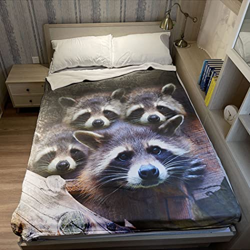 Violetpos Dick Decke Weich Wärme Gemütlich Flanell-Fleece Sofadecke Deckeldecke Nette Graue Waschbär-Tiere 150 x 200 cm von Violetpos