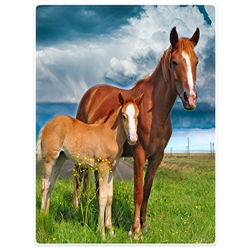 Violetpos Dick Decke Weich Wärme Gemütlich Flanell-Fleece Sofadecke Deckeldecke Zwei Pferde Stehen Auf Dem Gras Blauer Himmel 75 x 100 cm Violetpos Dick Decke Weich Wärme Gemütlich Flanell-Fleece Sofadecke Deckeldecke Zwei Pferde Stehen Auf Dem Gras Blauer Himmel 75 x 100 cm von Violetpos