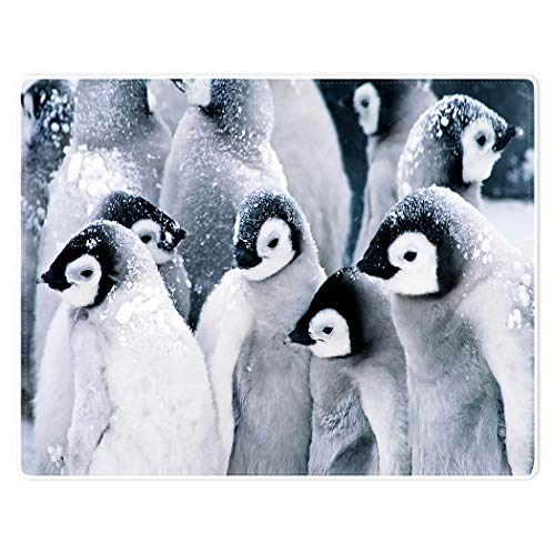 Violetpos Dick Decke Weich Wärme Gemütlich Flanell Fleece Sofadecke Pinguin Tier Schnee Weiß 150 x 200 cm von Violetpos
