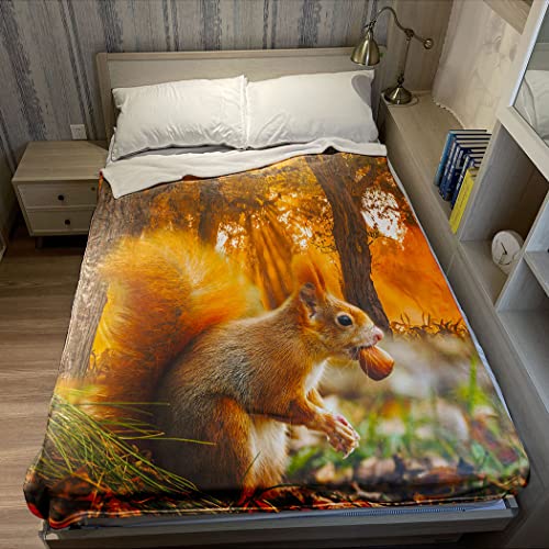 Violetpos Dick Decke Weich Wärme Gemütlich Fleece Sofadecke Nettes Eichhörnchen Das Nüsse Wald Isst 150 x 200 cm von Violetpos