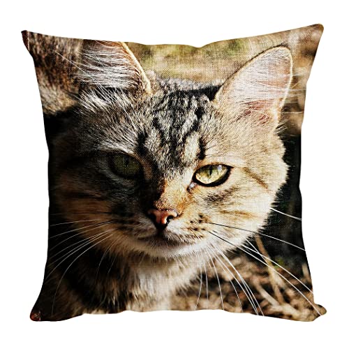 Violetpos Kissenbezug Dekokissen 45x45 cm Kissenhülle Deko Wohnzimmer Kissenbezüge Kissen Bezug Pillow Cover Sofakissen Kopfkissenbezug Kissenhüllen Graue Katze Augen von Violetpos