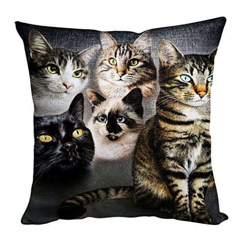 Violetpos Kissenbezug Dekokissen 50x50 cm Kissenhülle Deko Wohnzimmer Kissenbezüge Kissen Bezug Pillow Cover Sofakissen Kopfkissenbezug Kissenhüllen Katze Perser von Violetpos