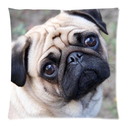 Violetpos Kissenhülle Deko Charming Mops-Hund Sofa Zierkissenbezug Auto Zierkissenbezüge Kissenbezüge Bettwaren & Bettwäsche Kopfkissen Kissen 40 x 40 cm von Violetpos