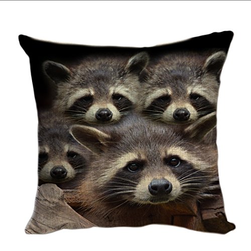 Violetpos Kissenhülle Deko Sofa Zierkissenbezug Auto Zierkissenbezüge Kissenbezüge Kopfkissen Kissen Nette Graue Waschbär-Tiere 45 x 45 cm von Violetpos