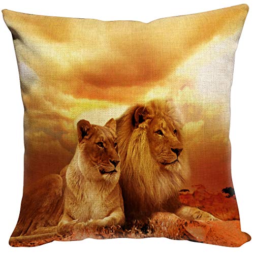 Violetpos Kissenhülle Deko Sofa Zierkissenbezug Auto Zierkissenbezüge Kissenbezüge Kopfkissen Kissen Zwei Löwen In Der Sonnenuntergangorange 45 x 45 cm von Violetpos