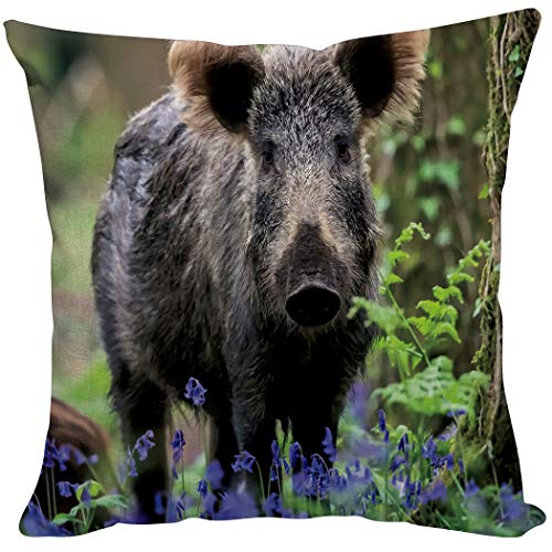 Violetpos Kissenhülle Sofa Zierkissenbezug Auto Zierkissenbezüge Kissenbezüge Kissen Wildschwein Schwein Lila Wildblume Wald 40 x 40 cm von Violetpos