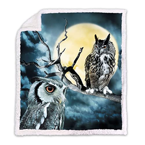 Violetpos Warm Sherpa Sofaüberwurf Decke 150x200 cm Dicke Kuscheldecken Sanft Flanell Weich Fleecedecke Bettüberwurf Eule Gelber Mond von Violetpos