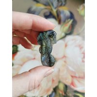 Handgeschnitzte Labradorit Seepferdchen von VioletsMoonMarket