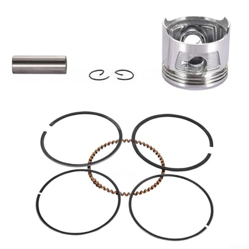 47 mm Kolben-Set für nahtlose Passform für 70 cc horizontale Motormodelle XR70 CRF70 CT70 XL70 CL70 47 mm Kolben-Set für nahtlose Passform für 70 cc horizontale Motormodelle XR70 CRF70 CT70 XL70 CL70 von Violiica
