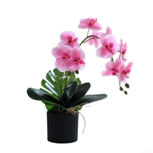 Lebendige Seidenphalaenopsis-Blume im Topf, perfekte Ergänzung für jede Veranstaltung oder Party (rosa) von Violiica