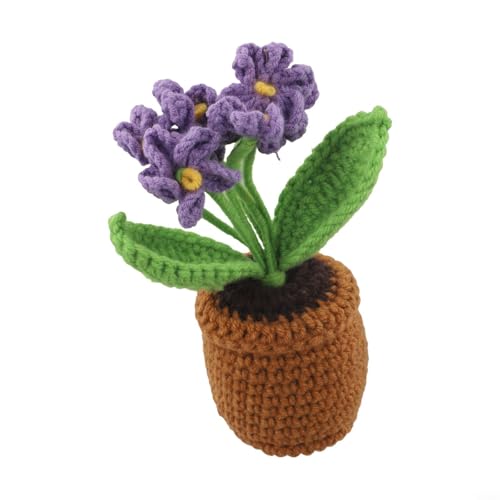 Vergissmeinnicht Mini-Blumentopf, gehäkelt, handgefertigt für dekorative Verwendung in Ess-, Schlaf- und Bürobereichen (lila) von Violiica