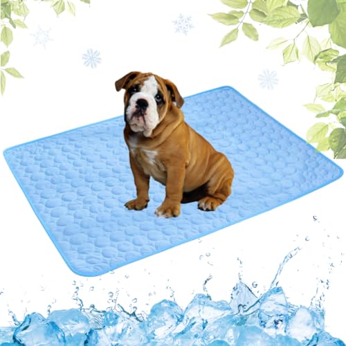 VisBeaut Cooling Mat for Dogs and Cat, Heat Relief Pet Cooling Mat for Crates, Kennels and Beds - Portable and Washable(Grey,70x100cm) (Blue,50x60cm) von VisBeaut