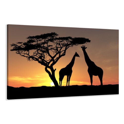 Bild auf Leinwand Afrika 120 x 80 cm Modell-Nr. XXL 5034 Bilder fertig gerahmt auf echtem Holzrahmen riesig. Ausführung Kunstdruck als Wandbild auf Rahmen. Günstiger als Ölbild Gemälde Poster Plakat mit Bilderrahmen. von Visario