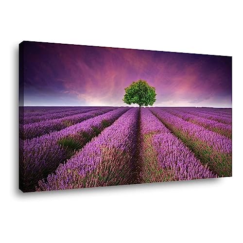 Leinwand Bild Lavendel Feld Lila mit grünem Baum 80 x 60 cm Nr.4059 von Visario