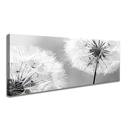 Visario 120 x 40 cm Bild Pusteblume Löwenzahn Hundeblume 5741 von Visario