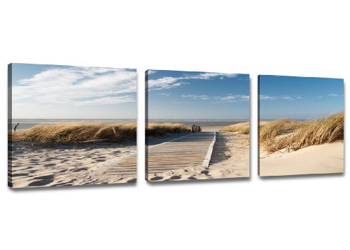 Visario 4221 Bilder auf Leinwand Bild 150 x 50 cm Strand Düne Nordsee - Ostsee DREI Teile 50x50cm von Visario