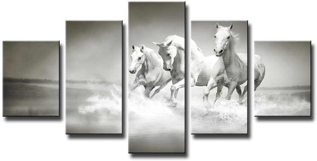 Visario Bild 5 er Set auf Leinwand, sofort aufhängbar, gerahmt, 160 x 80 cm, 5549 von Visario