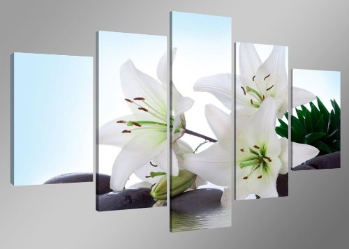 Visario Bild auf Leinwand 160 cm Nr 5504 Blumen fertig gerahmte Bilder 5 Teile Marke original von Visario