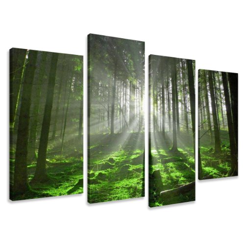 Visario Bild auf Leinwand der Deutschen Marke 130 x 80 cm 4 Teile Wald Bäume Lichtung 6130 Bilder Kunstdrucke Wandbild von Visario