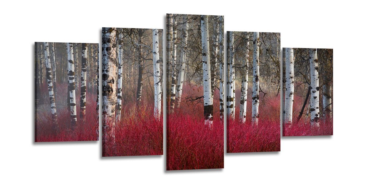 Visario Bild mit Rahmen 2 m x 1 m fünfteiliges Bilderset von Visario auf Leinwand fertig zum Aufhängen/gerahmt, Birkenwald von Visario