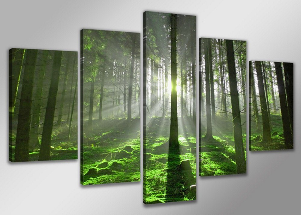 Visario Bild mit Rahmen 2 m x 1 m 5er Set Visario auf Leinwand fertig zum Aufhängen/gerahmt, Wald von Visario