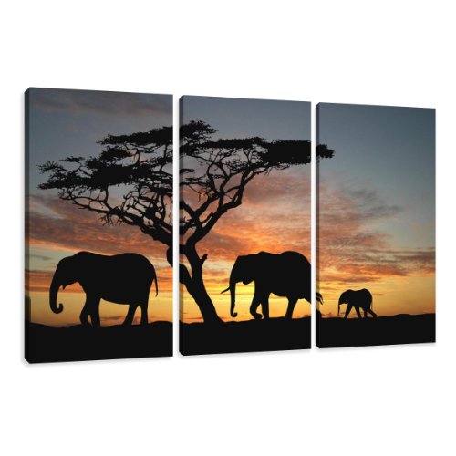 Visario Bilder auf Leinwand 150 cm (Nr 1066 Afrika) fertig gerahmt dreiteilig Marke original von Visario