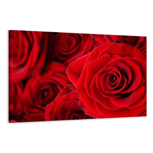 Visario Bild auf Leinwand Rose Rot 120 x 80 cm Modell-Nr. XXL 5058 Bilder fertig gerahmt auf echtem Holzrahmen riesig. Ausführung Kunstdruck als Wandbild auf Rahmen. von Visario