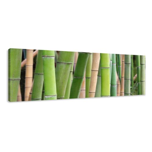 Visario Leinwandbilder 5705 Bild auf Leinwand Bambus, 120 x 40 cm von Visario