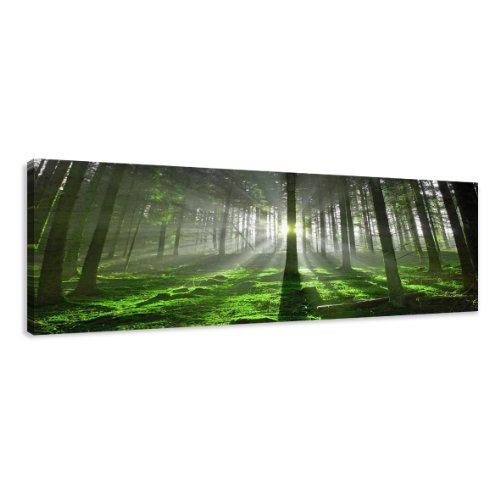 Visario Leinwandbilder 5706 Bild auf Leinwand Wald, 120 x 40 cm von Visario