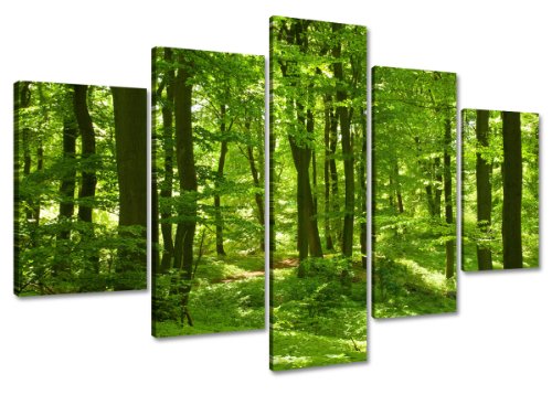 Visario Leinwandbilder 6411 Bild auf Leinwand grüner Wald fertig gerahmt, 5-teilig, 100 cm von Visario