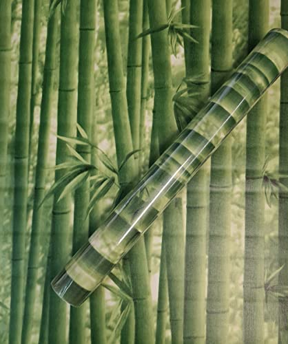 Visario Tapeten Folie 3000-S selbstklebend 10m x 45cm Farbe grün Bambus Dekorfolie Möbelfolie Tapete 3073 von Visario