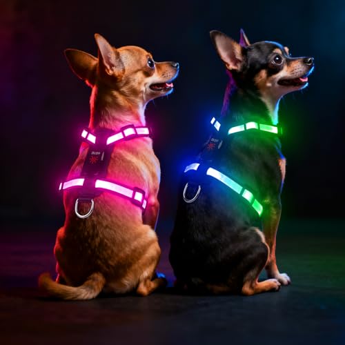 Mehrfarbiges LED Hundegeschirr, USB-C Wiederaufladbar mit Batterieanzeige, Leuchtendes Glow-in-The-Dark Hundegeschirr, Verstellbares Ziehfreies Geschirr für Kleine Hunde Nachtsicherheit Mehrfarbiges LED Hundegeschirr, USB-C Wiederaufladbar mit Batterieanzeige, Leuchtendes Glow-in-The-Dark Hundegeschirr, Verstellbares Ziehfreies Geschirr für Kleine Hunde Nachtsicherheit von Visinite