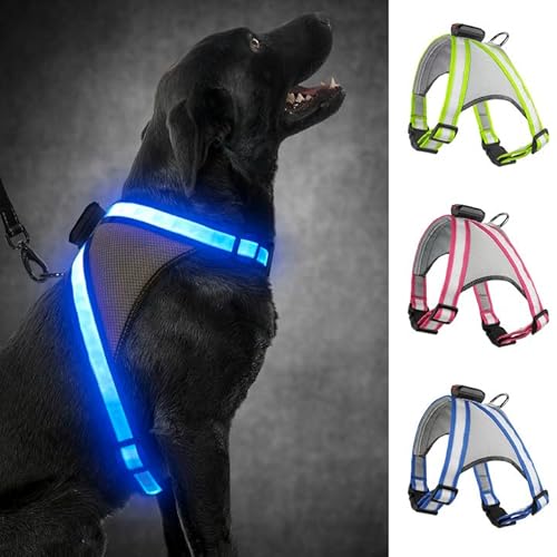 Visinite LED-Hundegeschirr mit Licht, wiederaufladbar, leuchtende Hundeweste, 2 Beleuchtungsmodi, verstellbares beleuchtetes Geschirr für sichere Nachtspaziergänge von Visinite