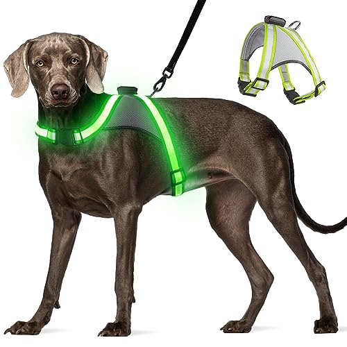 Visinite LED-Hundegeschirr mit Licht, wiederaufladbar, leuchtende Hundeweste, 2 Beleuchtungsmodi, verstellbares beleuchtetes Geschirr für sichere Nachtspaziergänge von Visinite