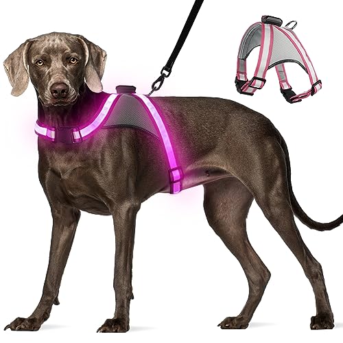 Visinite LED-Hundegeschirr mit Licht, wiederaufladbar, leuchtende Hundeweste, 2 Beleuchtungsmodi, verstellbares beleuchtetes Geschirr für sichere Nachtspaziergänge von Visinite