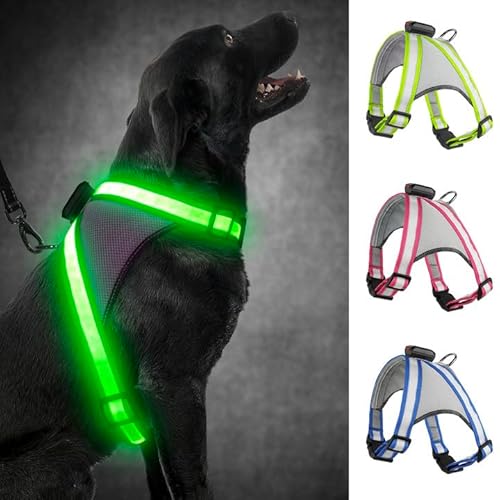 Visinite LED-Hundegeschirr mit Licht, wiederaufladbar, leuchtende Hundeweste, 2 Beleuchtungsmodi, verstellbares beleuchtetes Geschirr für sichere Nachtspaziergänge von Visinite
