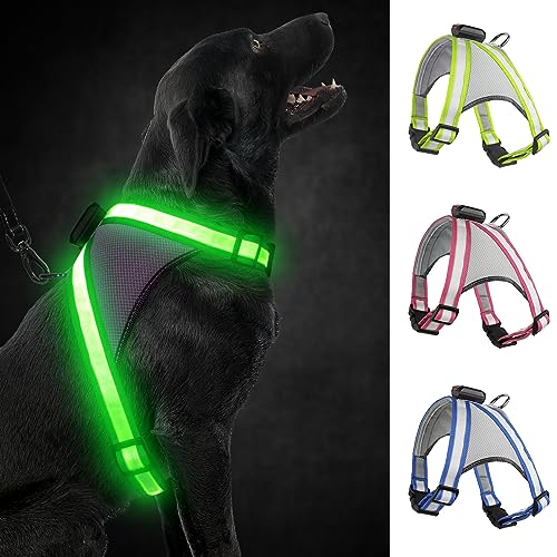 Visinite LED-Hundegeschirr mit Licht, wiederaufladbar, leuchtende Hundeweste, 2 Beleuchtungsmodi, verstellbares beleuchtetes Geschirr für sichere Nachtspaziergänge von Visinite